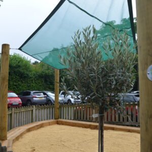 Everyday Play Hand Built Custom Size Sand Pit - Custom Sand Pit for Schools and Attractions